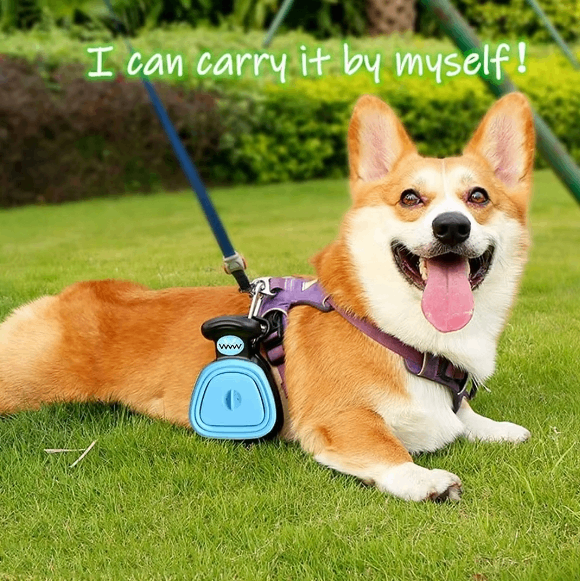 Dog wearing a blue and black device on grass with text 'I can carry it by myself!'