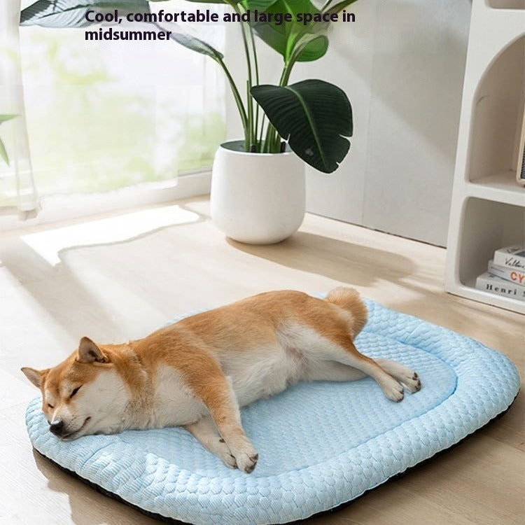 Dog resting on a blue pet bed in a room with a plant and books.